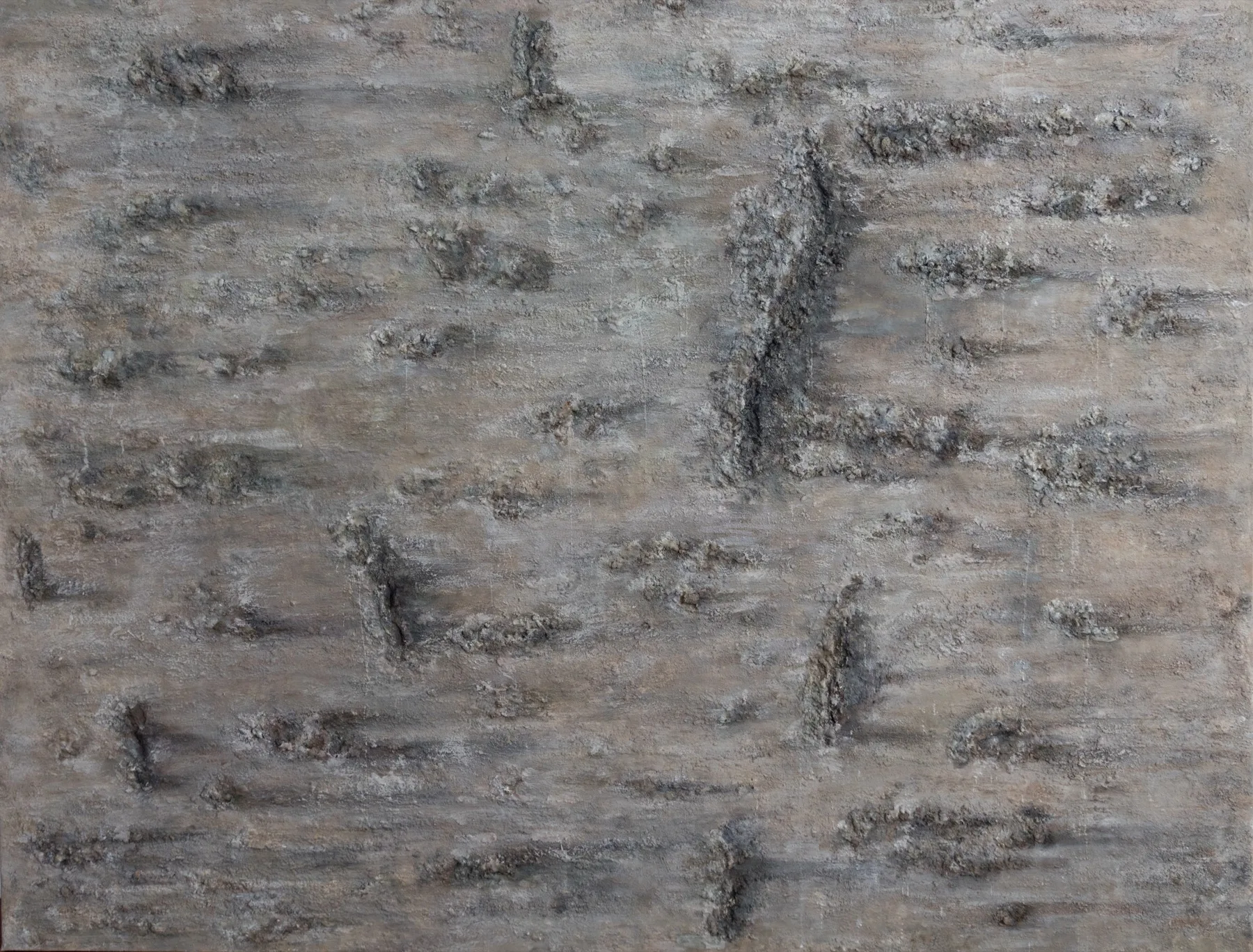 Descubriendo lo oculto II — Cristina Riesgo