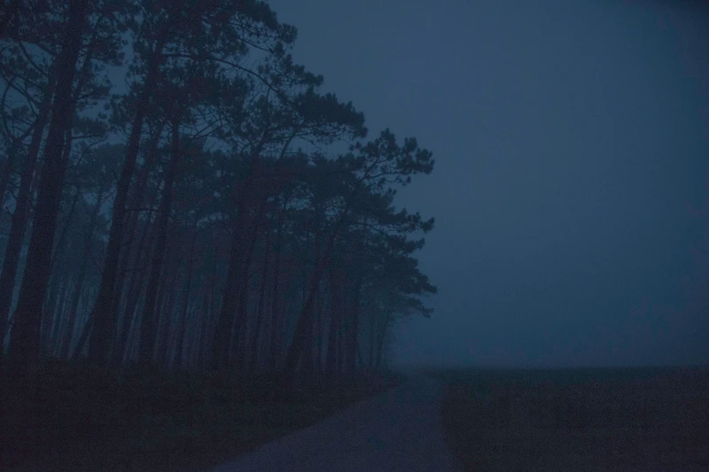 Blue almost green — Cristina Riesgo