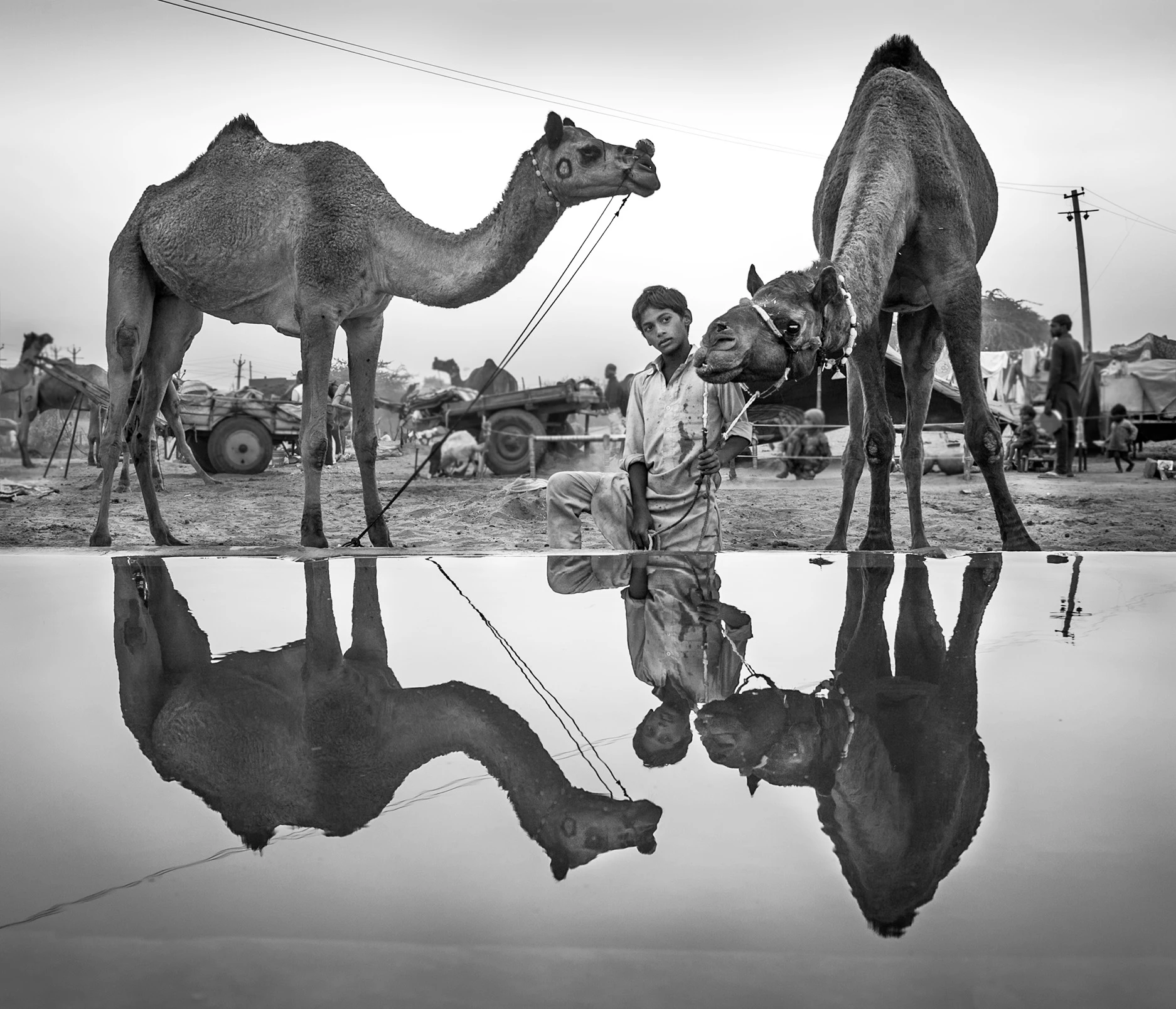 Los que vienen del desierto — foto 13